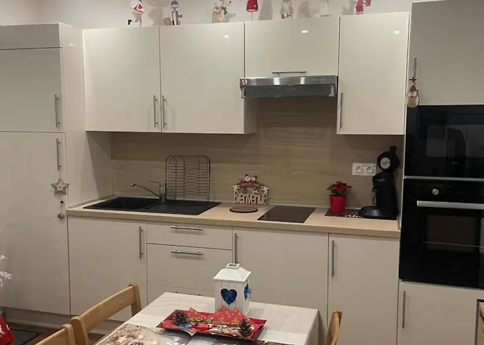 Le Lys 2 A 4 Personnes * Colmar